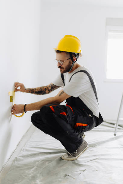 Professional Dry wall and painting in Grant, MN